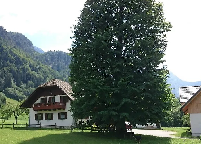 Vakantieboerderij Farm Juvanija